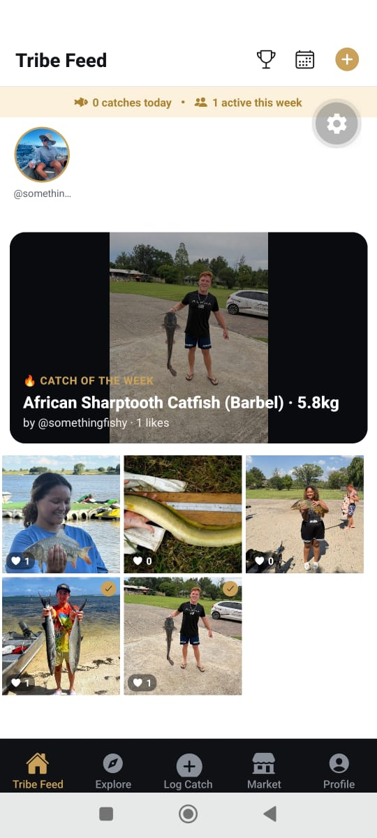 ReelTribe Tribe Feed with catch of the week and grid gallery